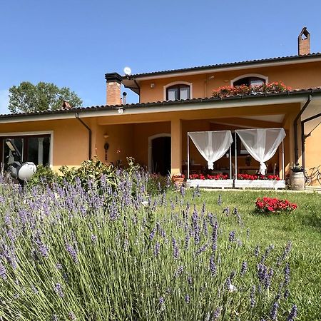 Bed & Breakfast Le Piagge Scurcola Marsicana Екстериор снимка